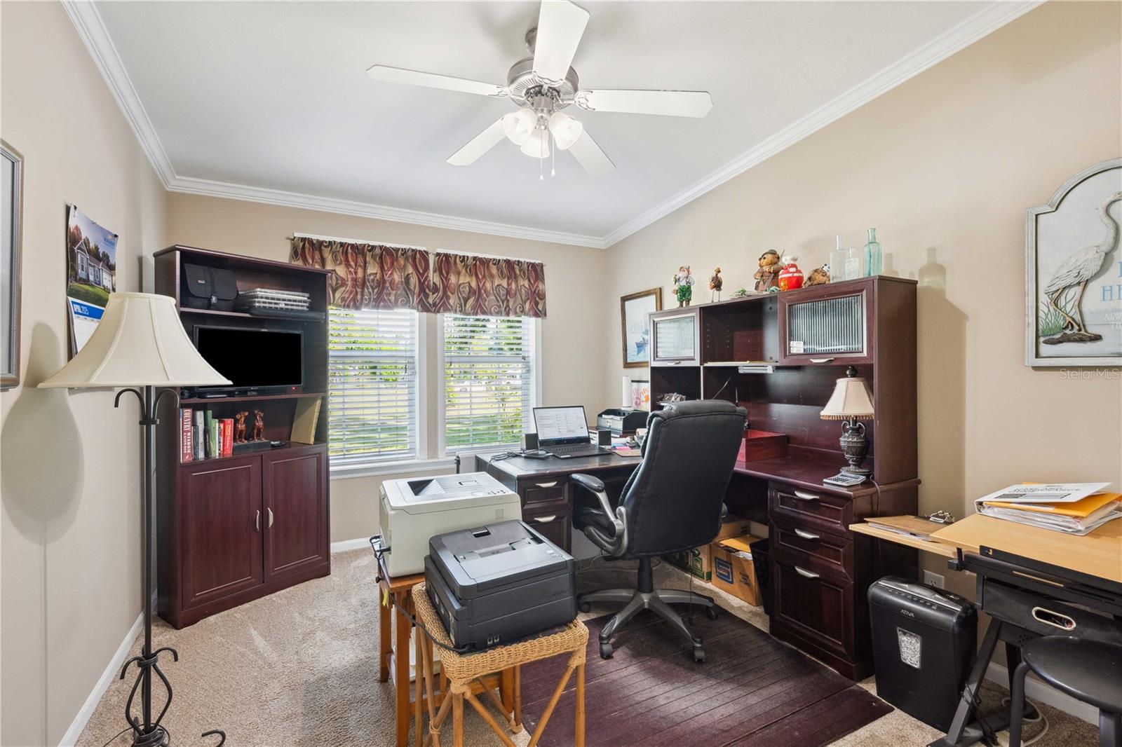 3911 LADO DR, WESLEY CHAPEL, FL, 33543
