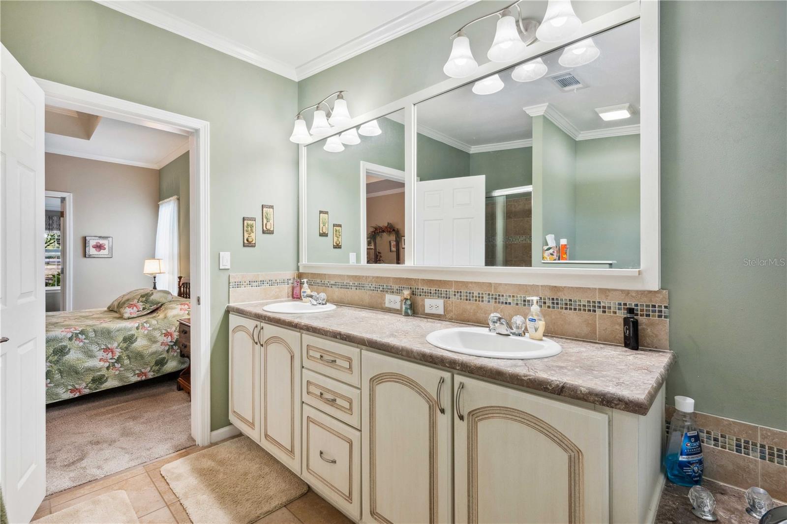 3911 LADO DR, WESLEY CHAPEL, FL, 33543