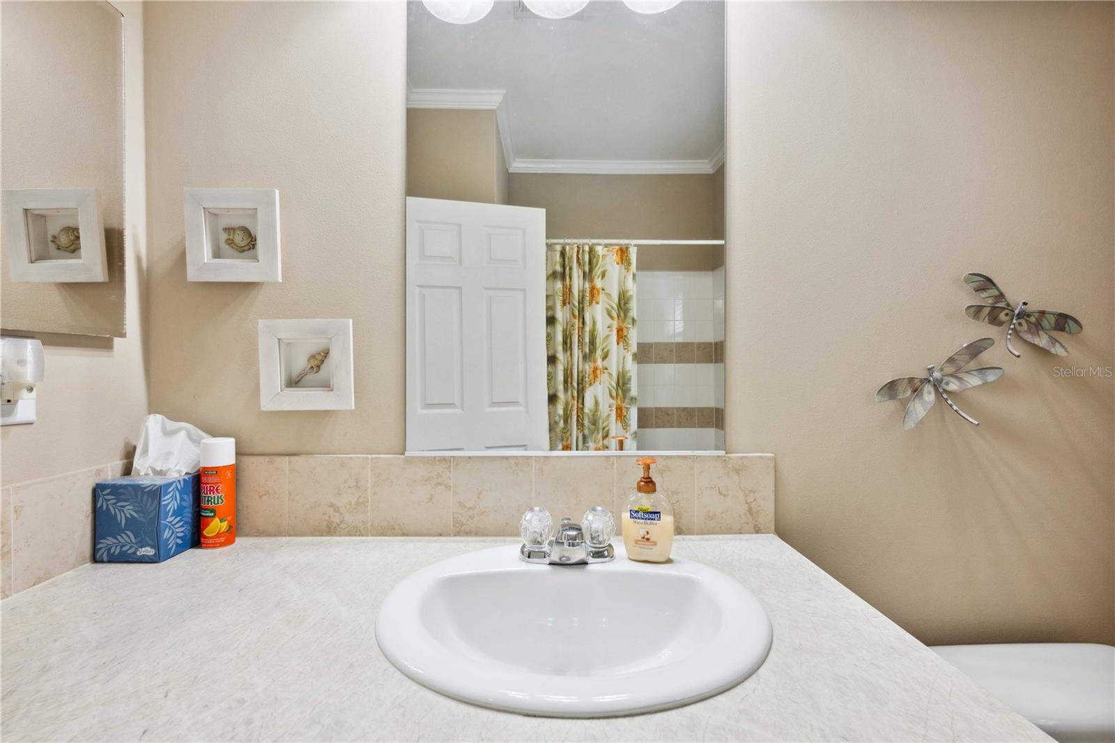 3911 LADO DR, WESLEY CHAPEL, FL, 33543