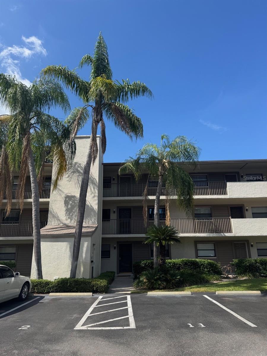 3038 EASTLAND BLVD #F308, CLEARWATER, FL, 33761