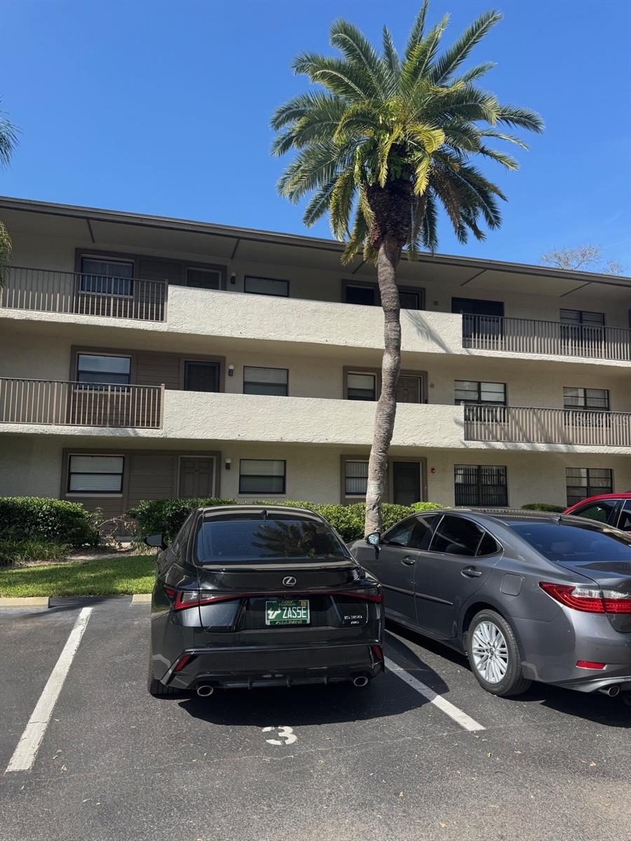3038 EASTLAND BLVD #F308, CLEARWATER, FL, 33761