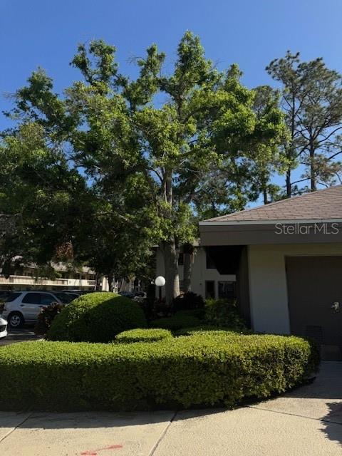 3038 EASTLAND BLVD #F308, CLEARWATER, FL, 33761