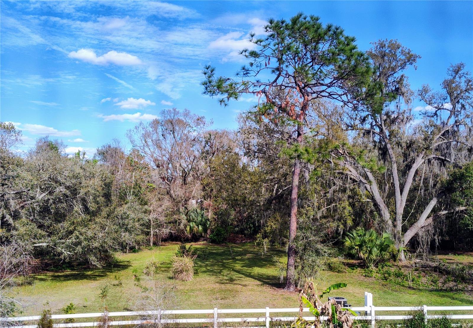 4702 CYPRESS SERENITY DR, PLANT CITY, FL, 33565