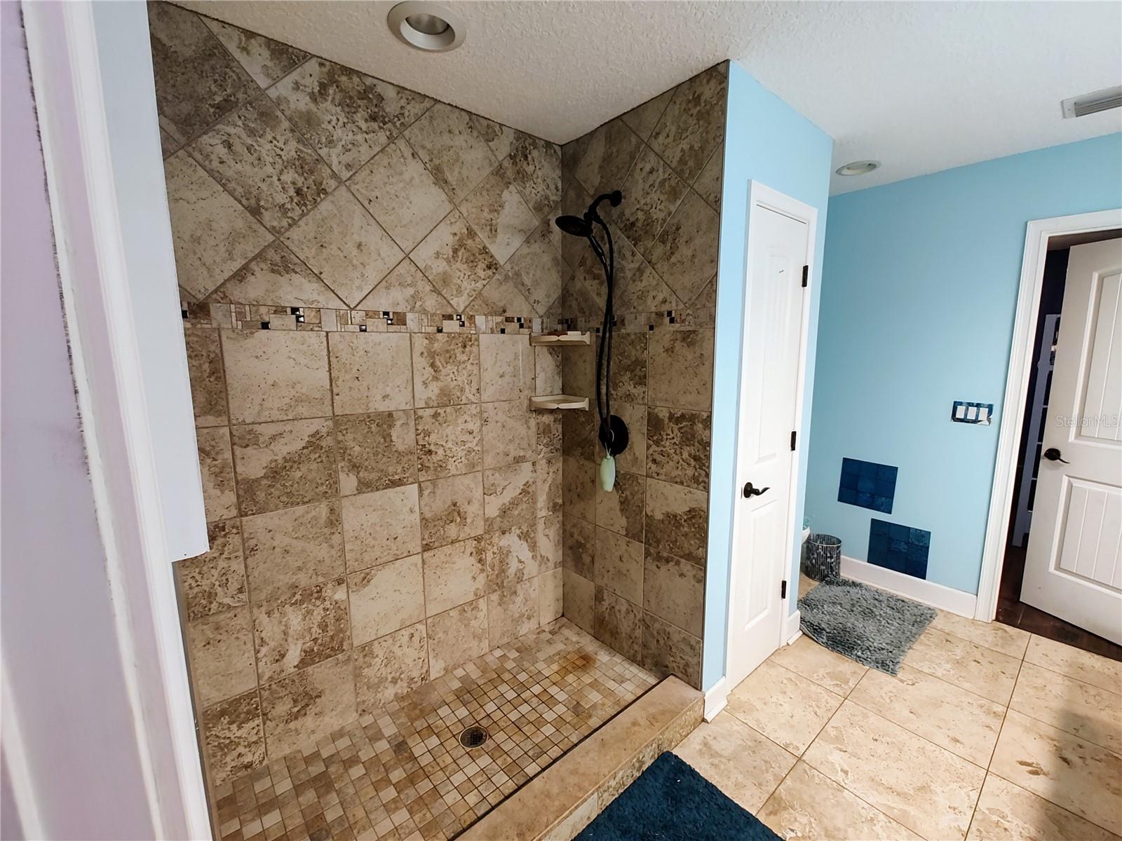 4702 CYPRESS SERENITY DR, PLANT CITY, FL, 33565