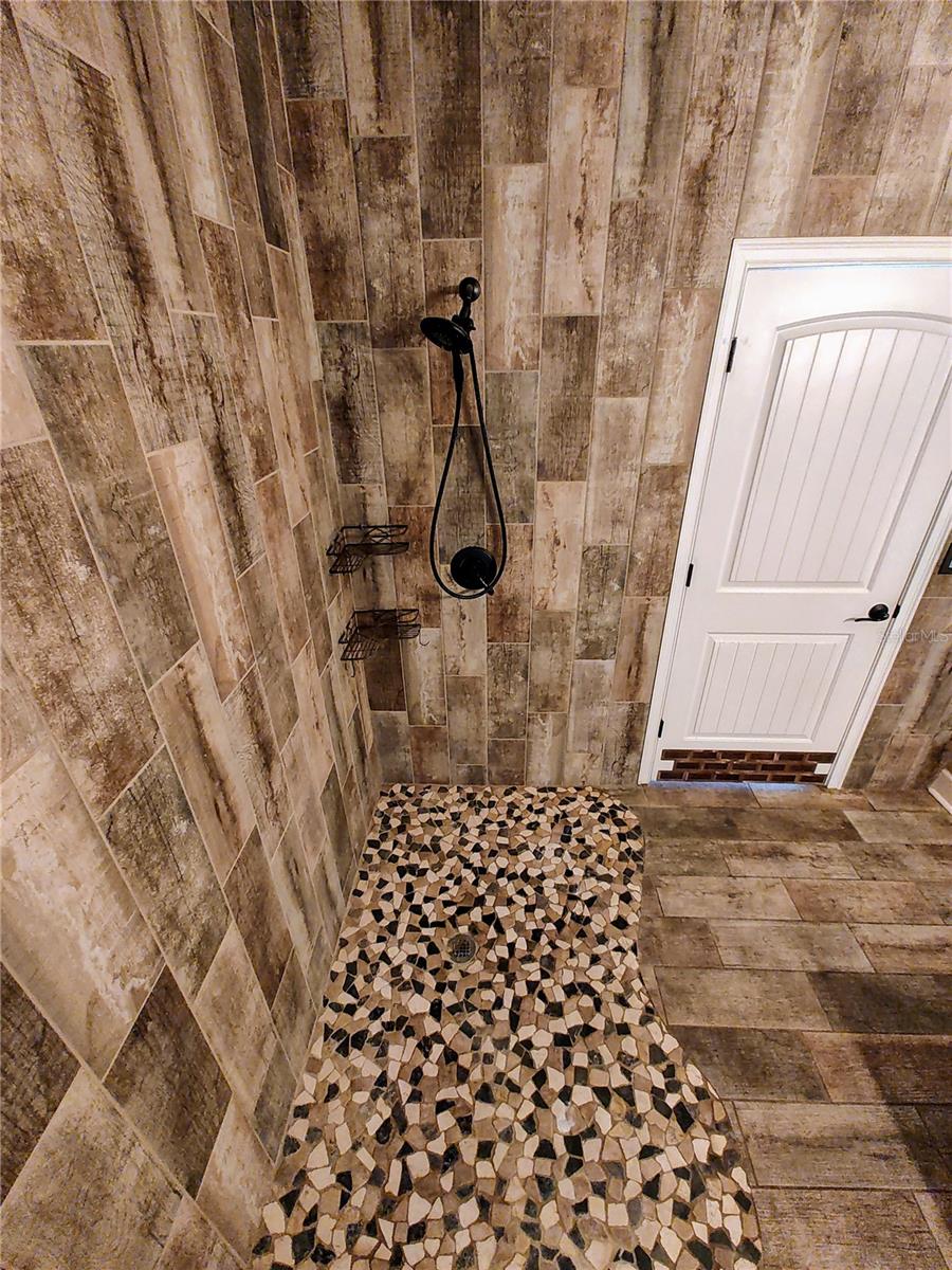 4702 CYPRESS SERENITY DR, PLANT CITY, FL, 33565