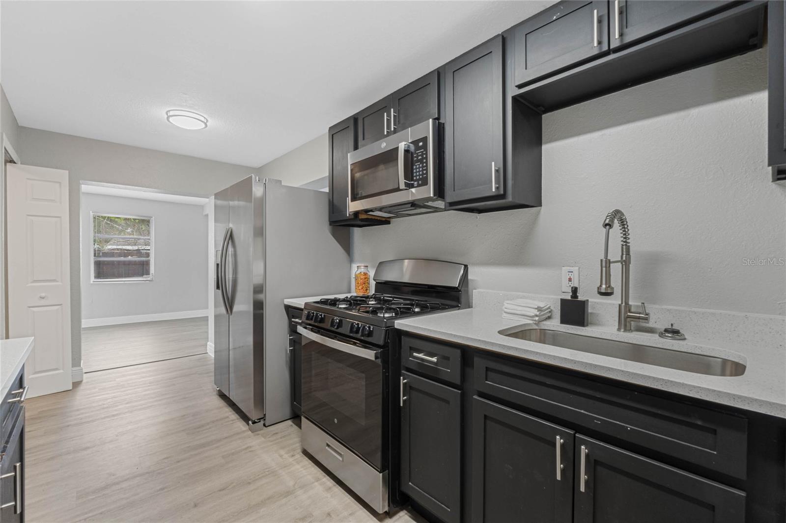 1090 EMERALD DR, MOUNT DORA, FL, 32757