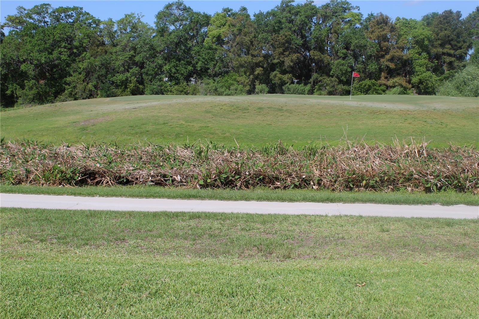 4033 ARLINGTON RIDGE BLVD, LEESBURG, FL, 34748