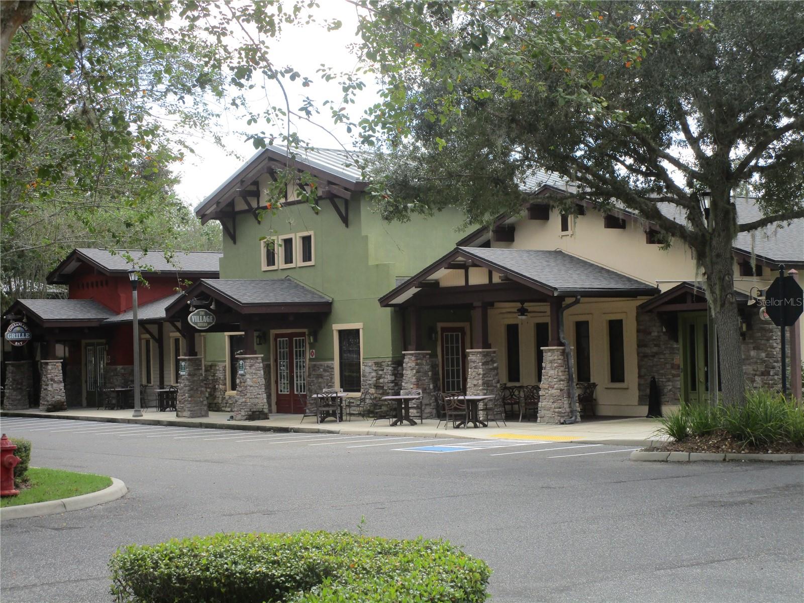 4033 ARLINGTON RIDGE BLVD, LEESBURG, FL, 34748