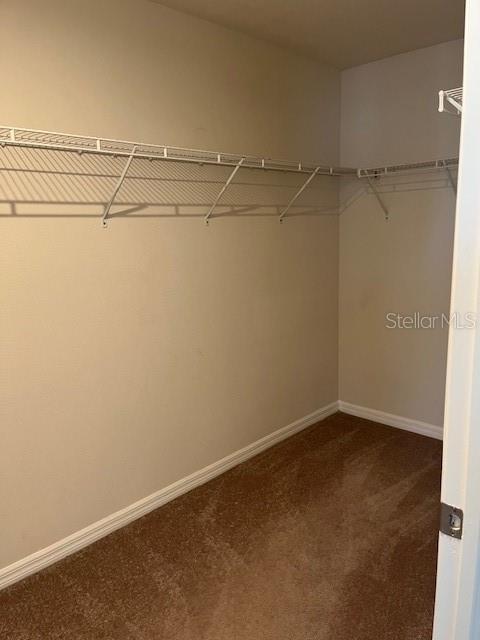 2339 PERGOLA WAY, ODESSA, FL, 33556