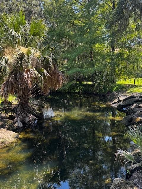 314 PALM COAST PKWY NE #202, PALM COAST, FL, 32137