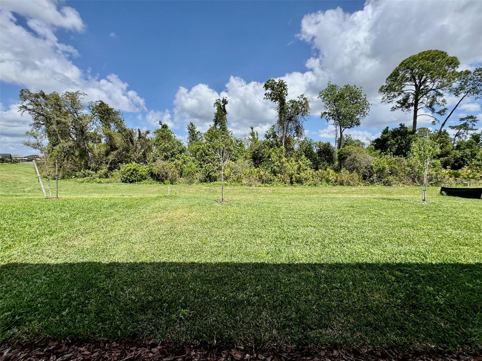 8129 FENTON ST, ORLANDO, FL, 32836