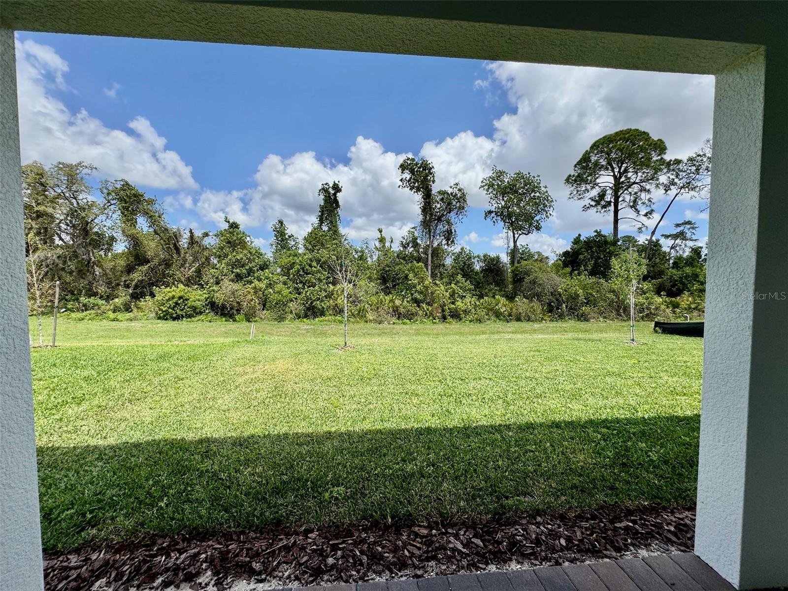 8129 FENTON ST, ORLANDO, FL, 32836