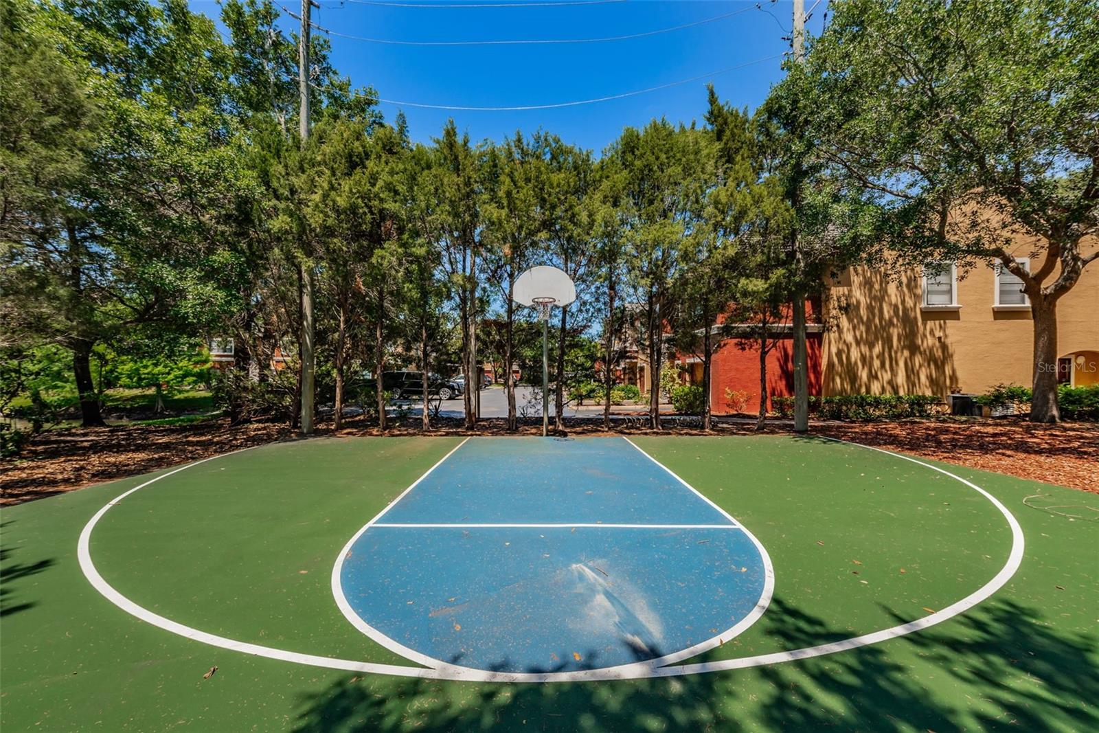 2151 CHIANTI PL #124, PALM HARBOR, FL, 34683