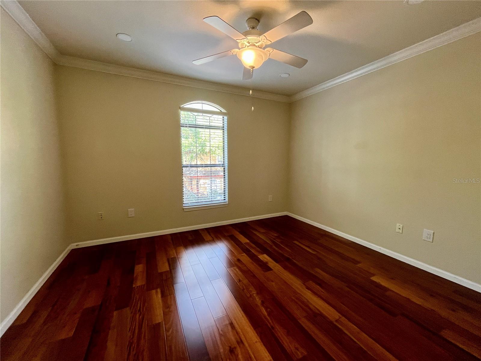 2151 CHIANTI PL #124, PALM HARBOR, FL, 34683
