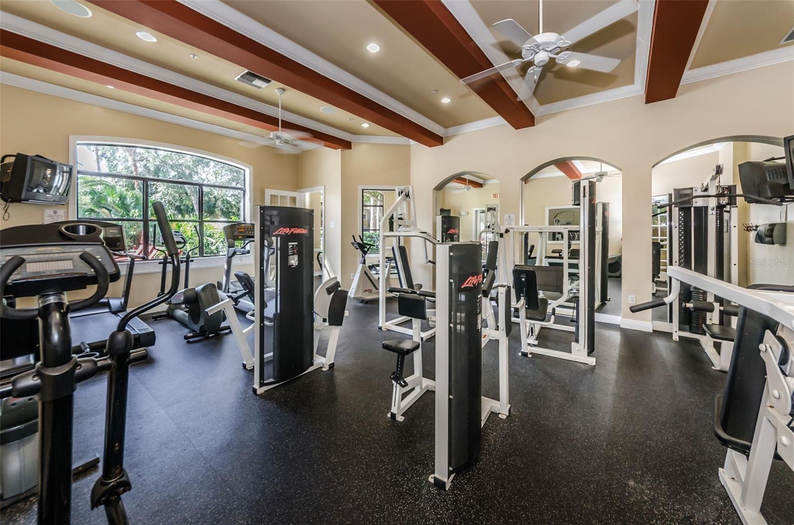 2151 CHIANTI PL #124, PALM HARBOR, FL, 34683