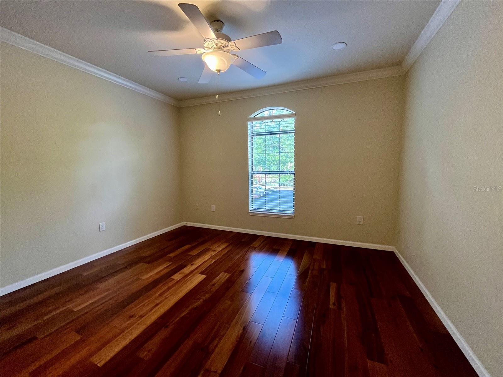 2151 CHIANTI PL #124, PALM HARBOR, FL, 34683