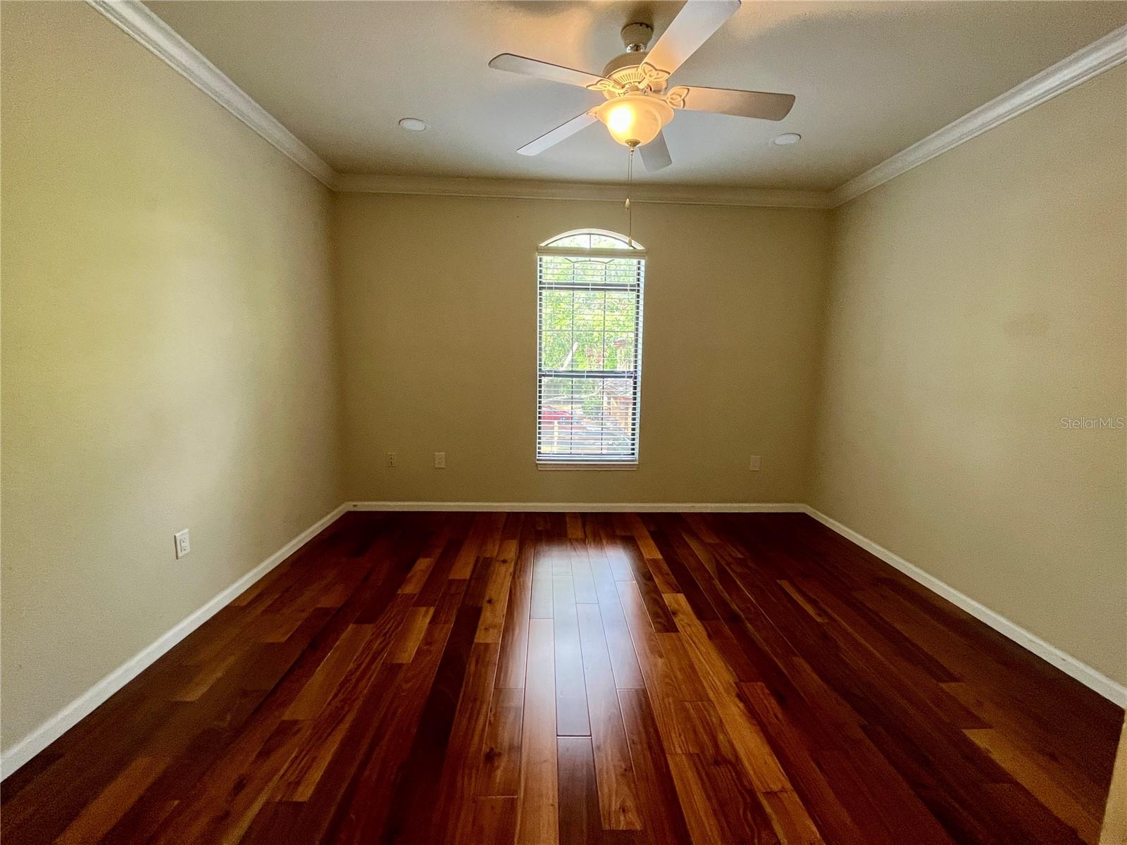 2151 CHIANTI PL #124, PALM HARBOR, FL, 34683