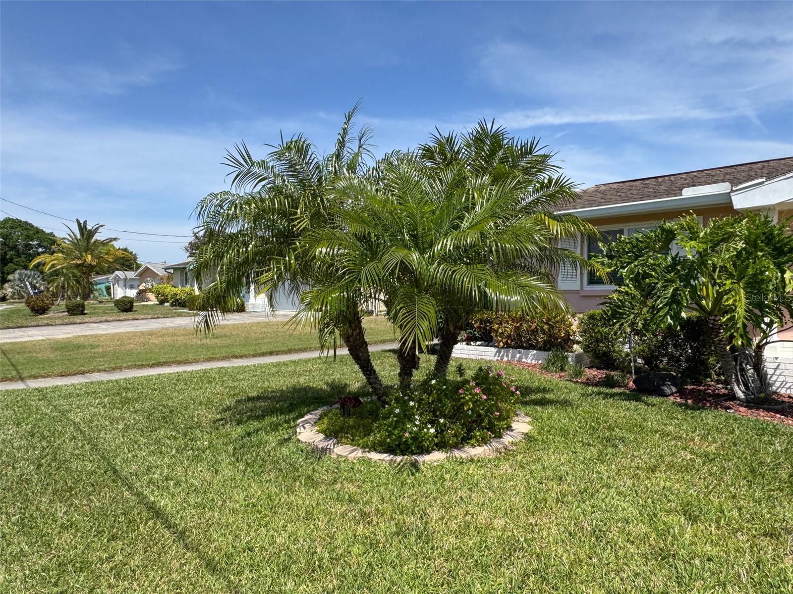1412 LINSTOCK DR, HOLIDAY, FL, 34690