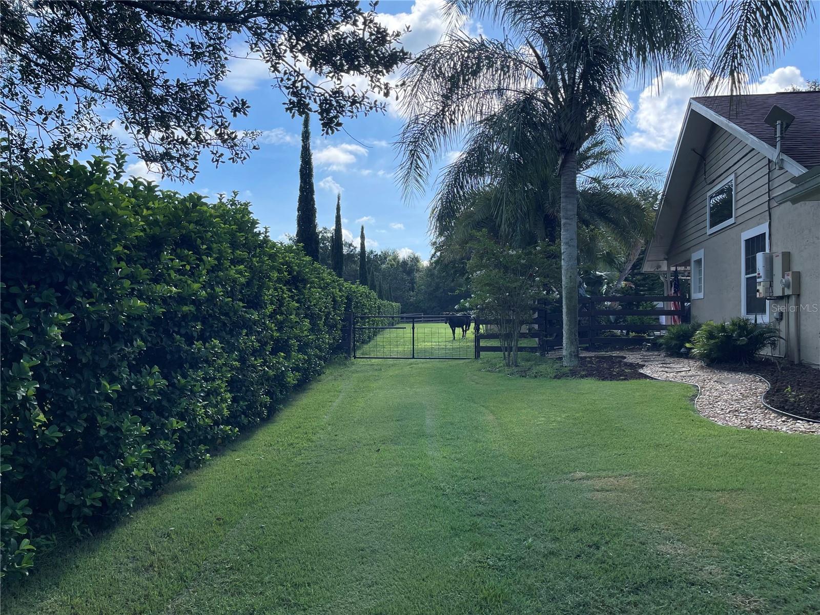 3511 FOX LAKE DR, APOPKA, FL, 32712
