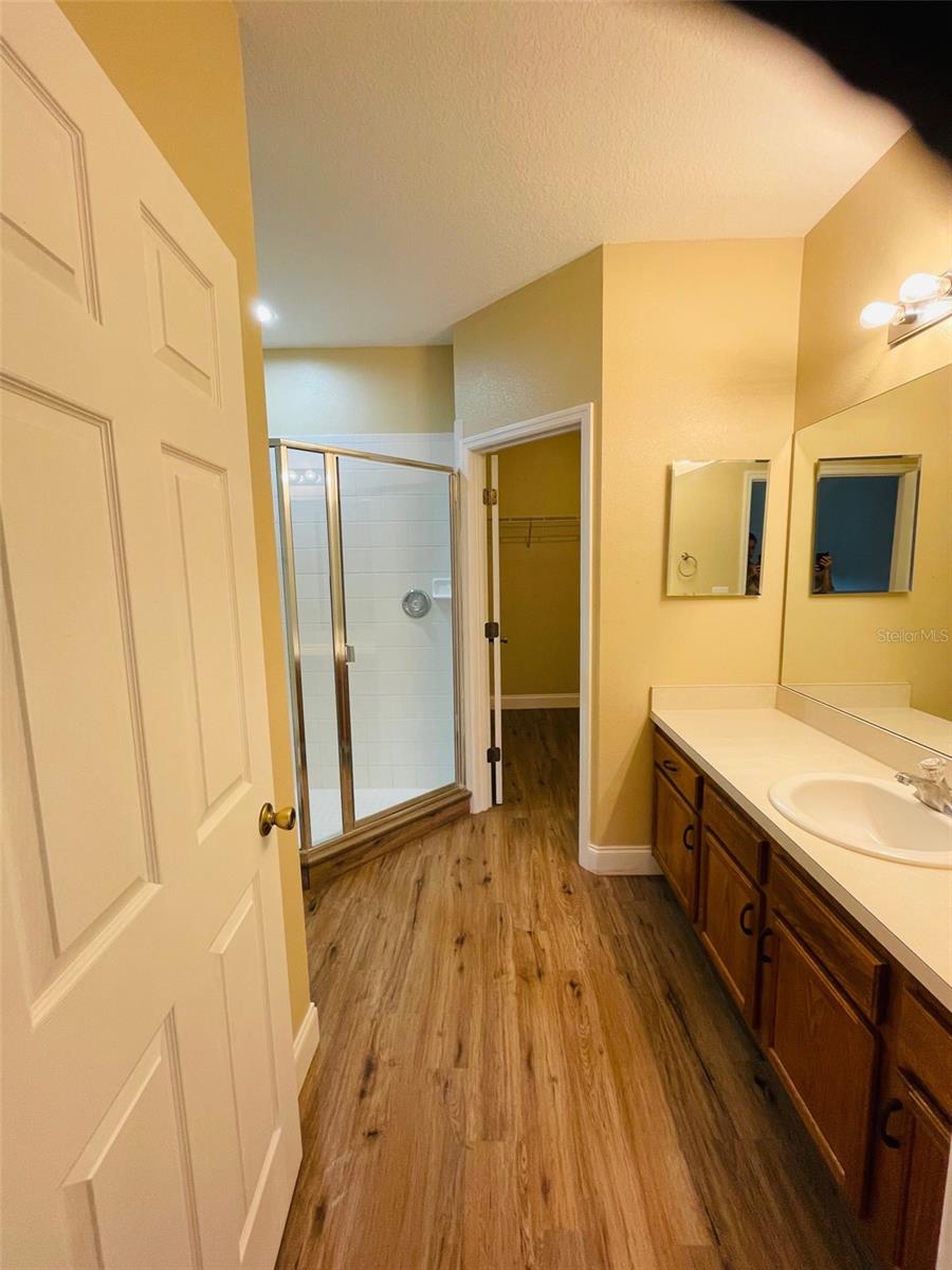 1028 BLACKWATER DR, WESLEY CHAPEL, FL, 33543