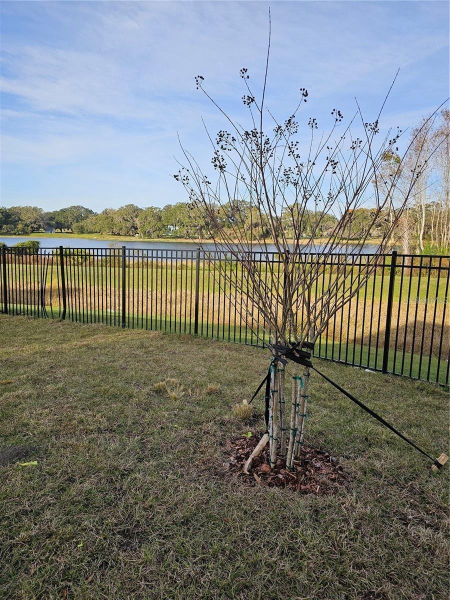 6998 RIPPLE POND LOOP, ZEPHYRHILLS, FL, 33541