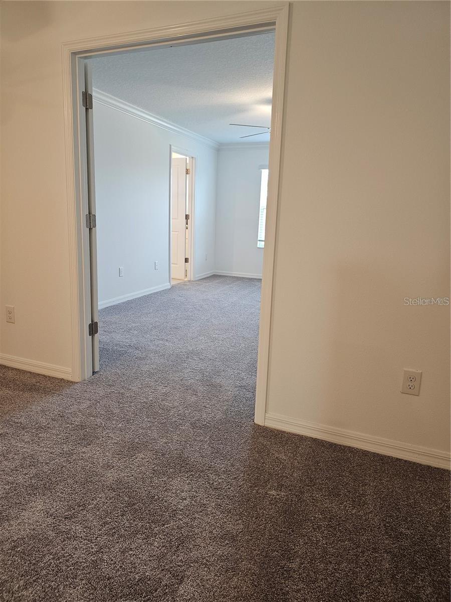 6998 RIPPLE POND LOOP, ZEPHYRHILLS, FL, 33541