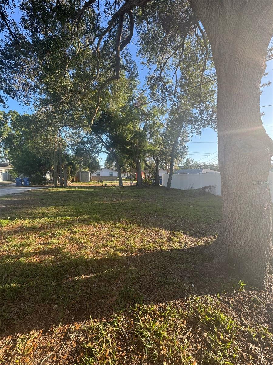 342 51ST AVE N, ST PETERSBURG, FL, 33703