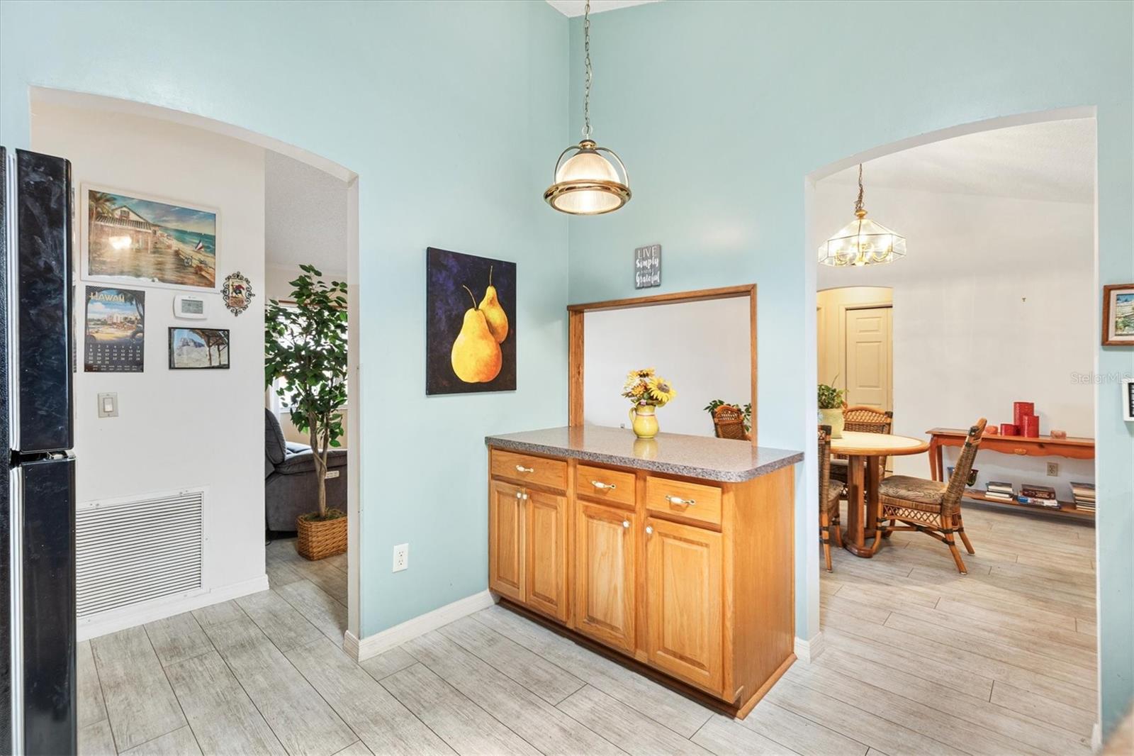 1306 PEDRO CT, THE VILLAGES, FL, 32159