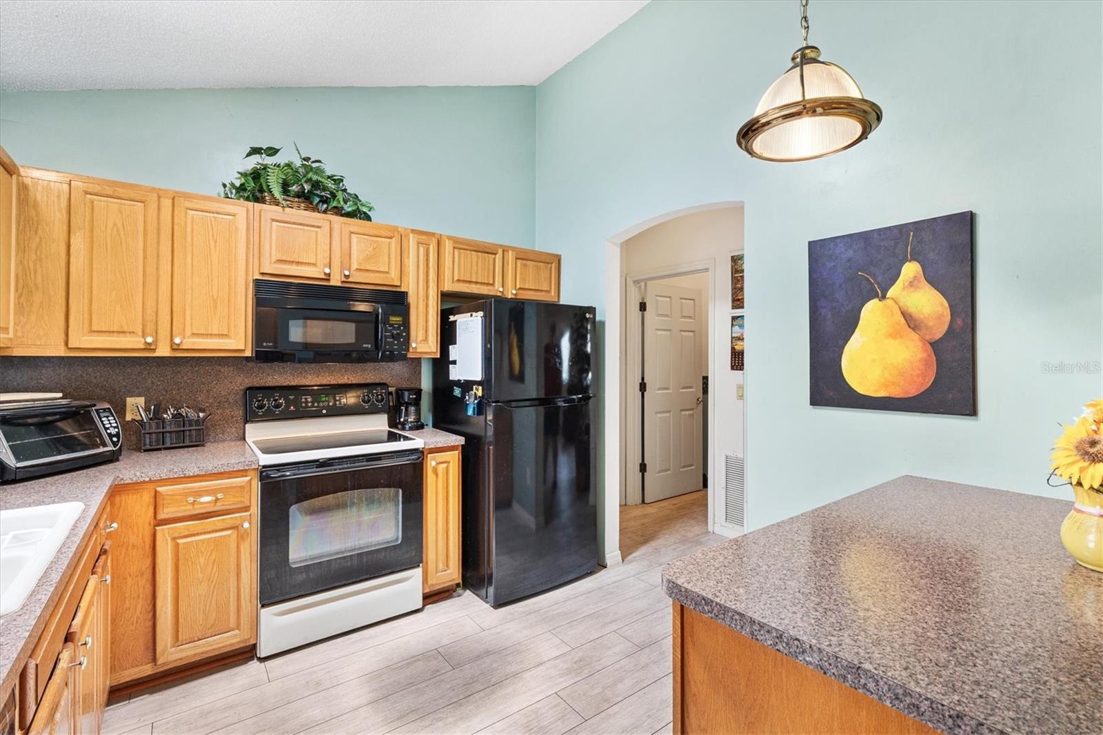 1306 PEDRO CT, THE VILLAGES, FL, 32159