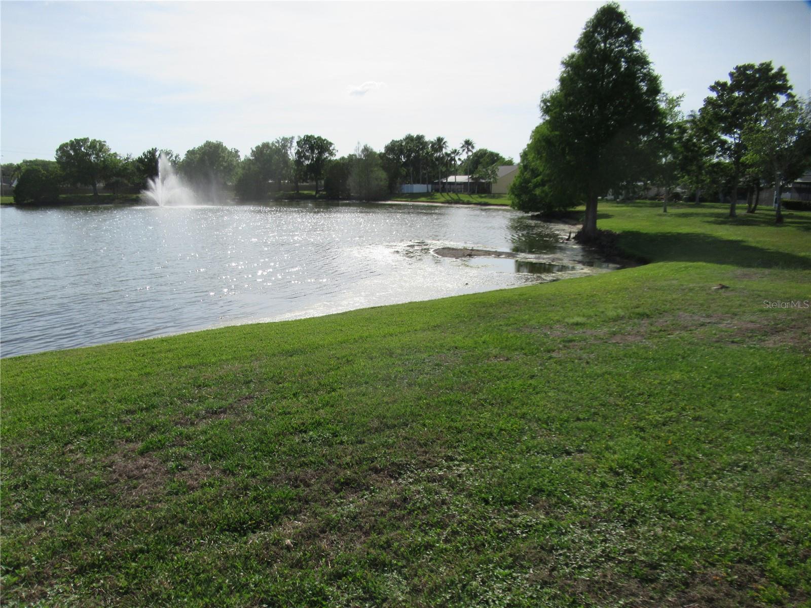 12040 STEPPINGSTONE BLVD, TAMPA, FL, 33635
