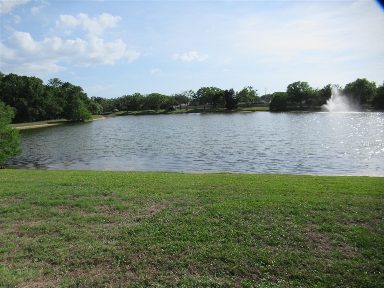 12040 STEPPINGSTONE BLVD, TAMPA, FL, 33635