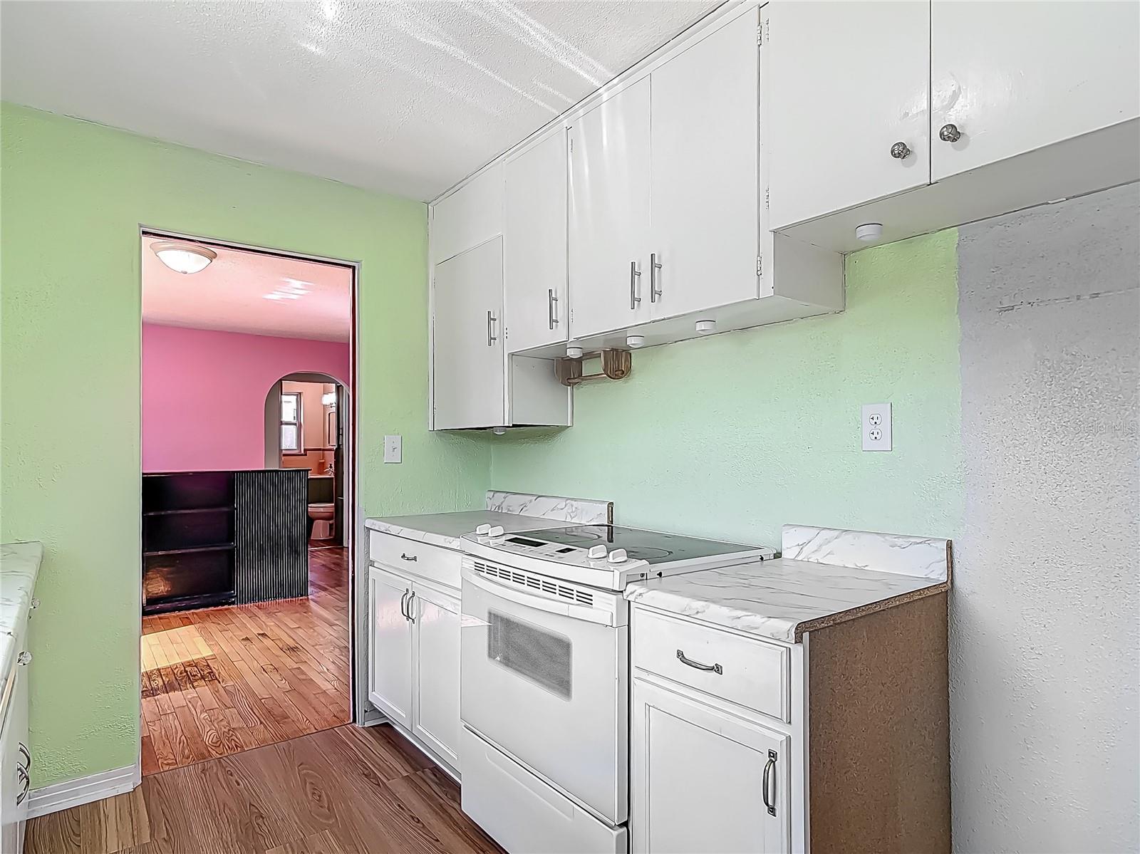 243 S HULL AVE, DELAND, FL, 32720