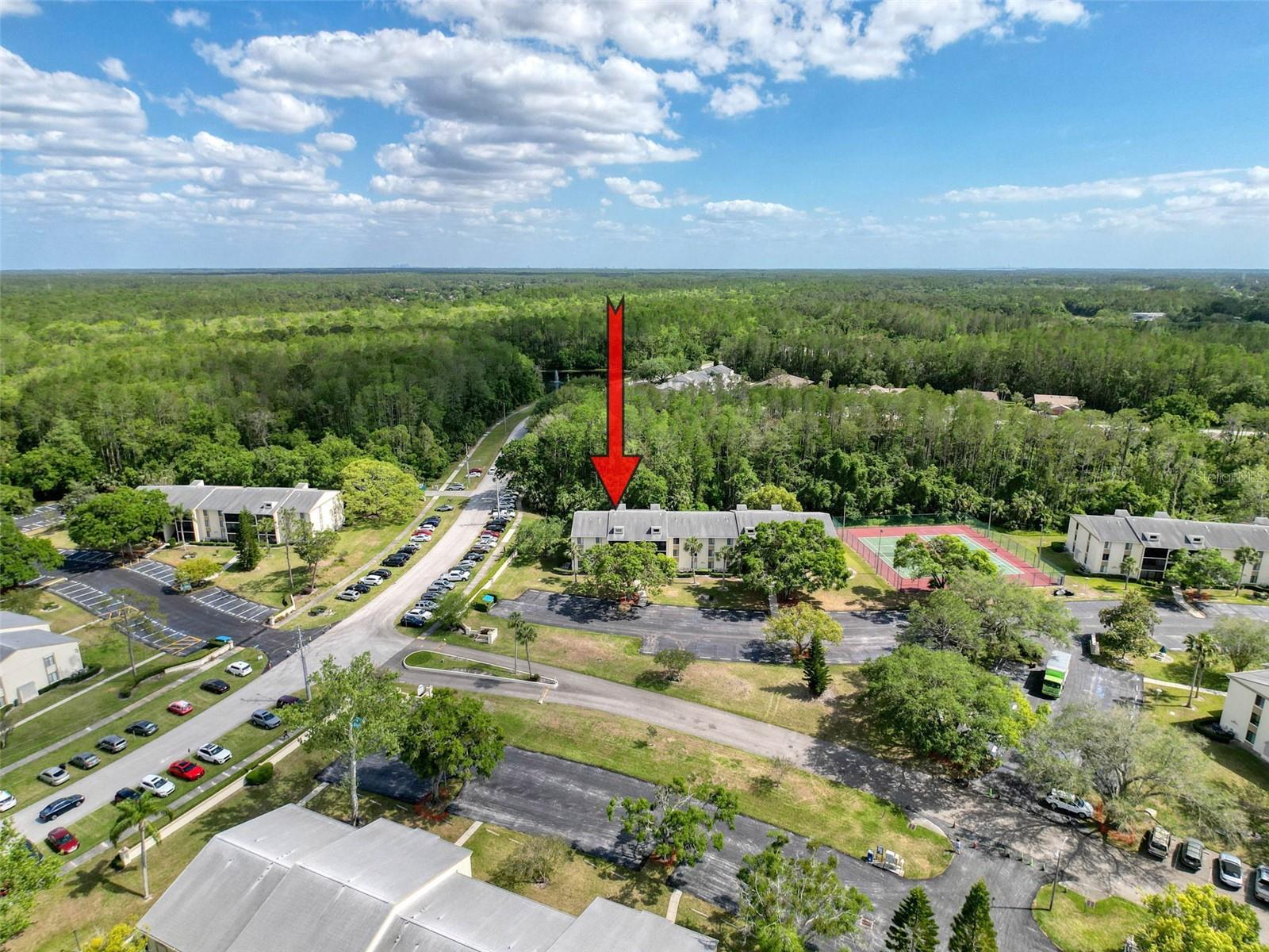 3188 LAKE PINE WAY S #B1, TARPON SPRINGS, FL, 34688