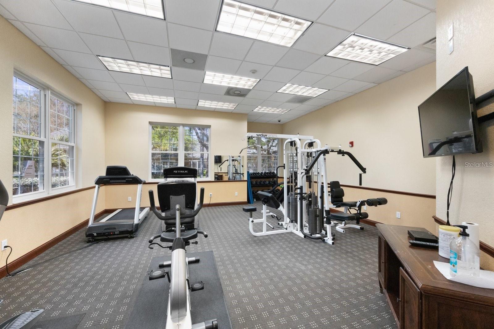 3482 KINGS RD #105, PALM HARBOR, FL, 34685