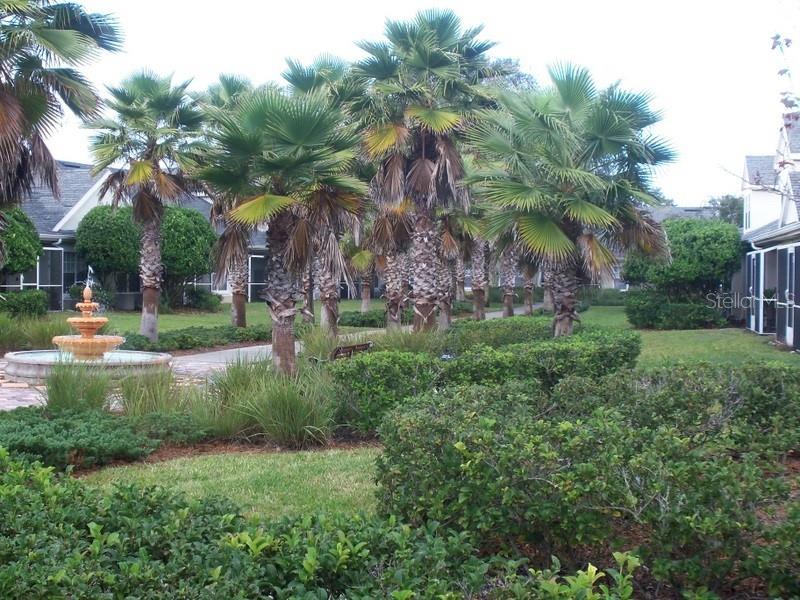 3482 KINGS RD #105, PALM HARBOR, FL, 34685