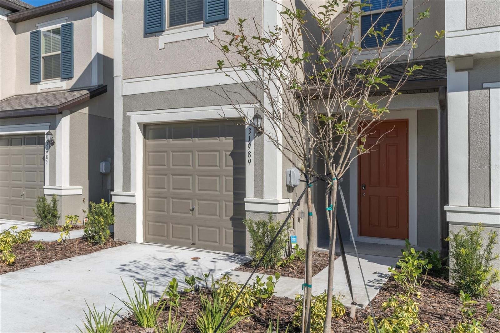 31989 BLUE PASSING LOOP, WESLEY CHAPEL, FL, 33545