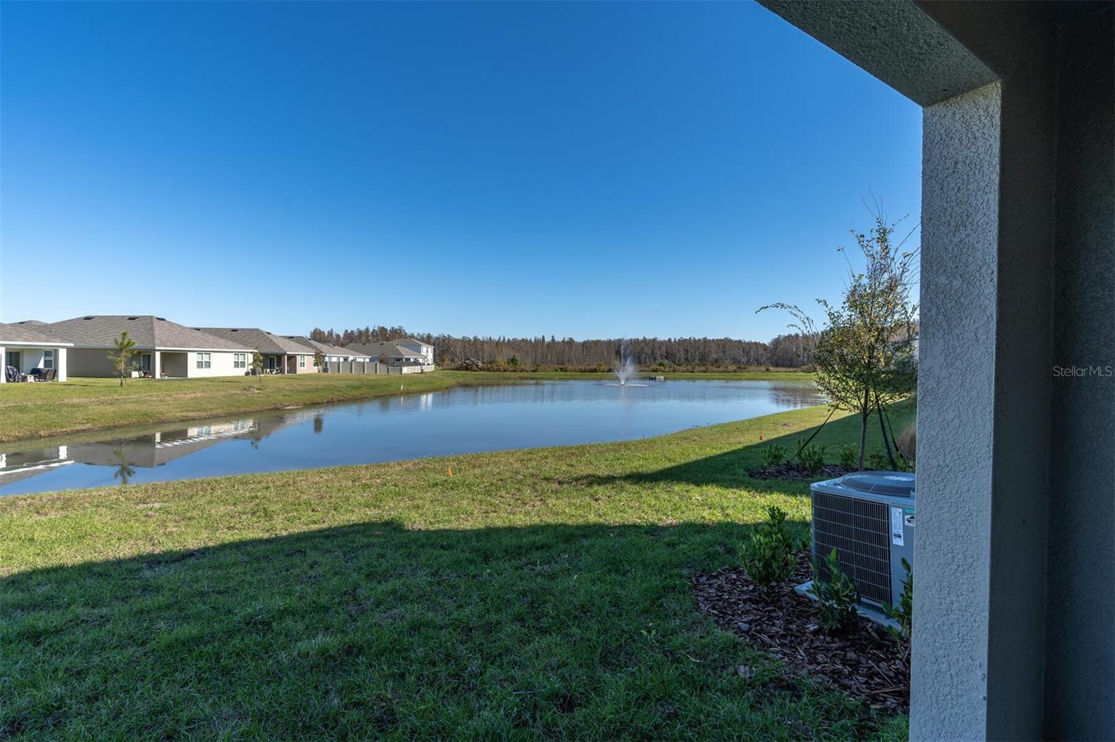 31989 BLUE PASSING LOOP, WESLEY CHAPEL, FL, 33545