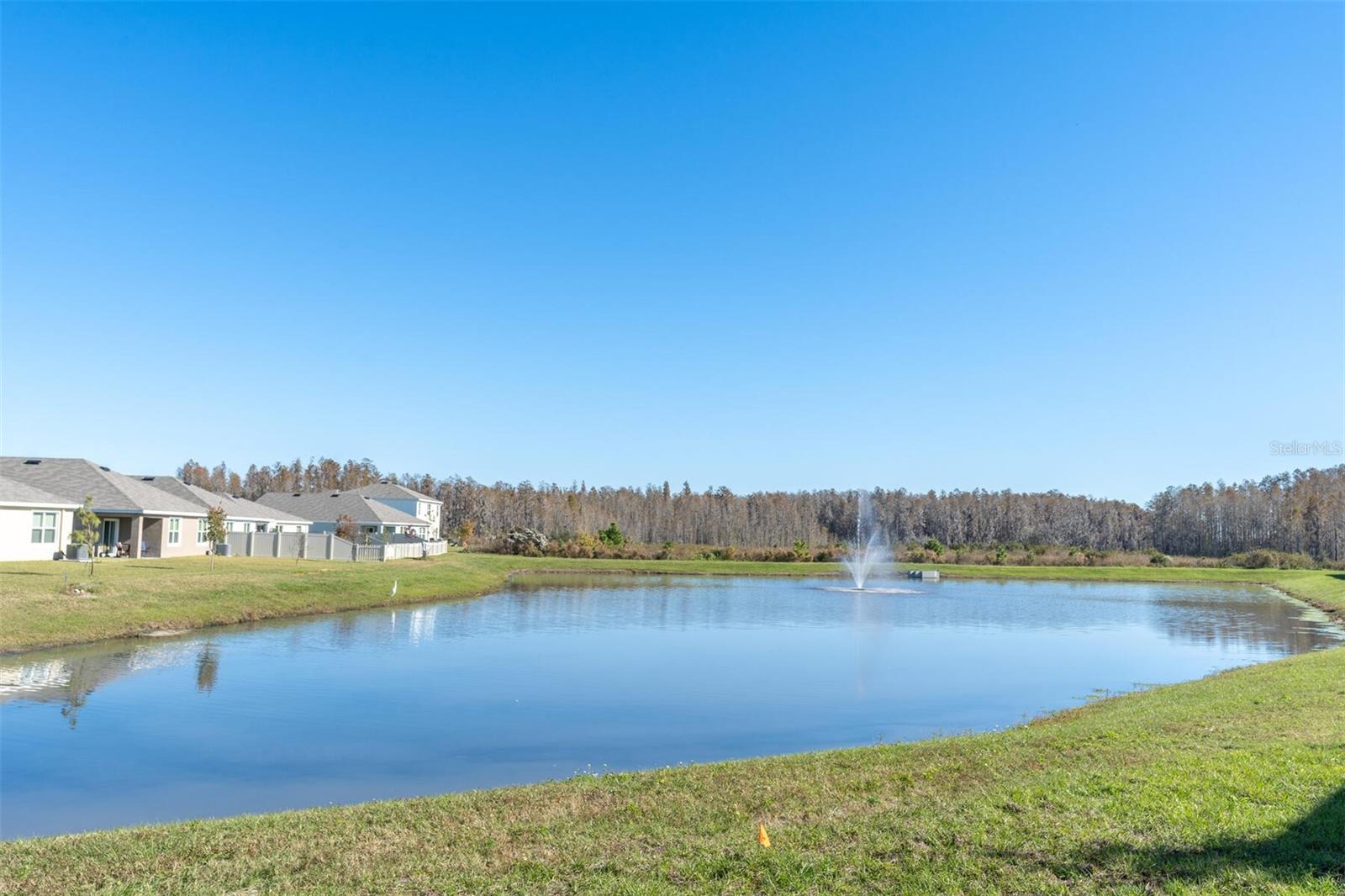 31989 BLUE PASSING LOOP, WESLEY CHAPEL, FL, 33545