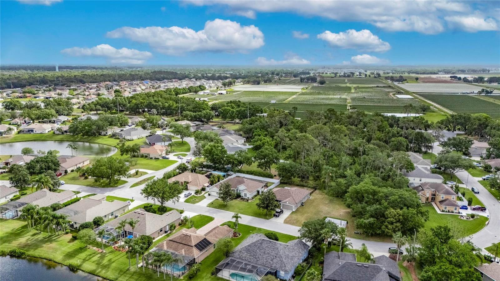 3004 SPRING HAMMOCK DR, PLANT CITY, FL, 33566