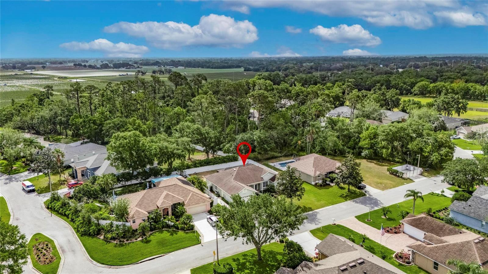 3004 SPRING HAMMOCK DR, PLANT CITY, FL, 33566