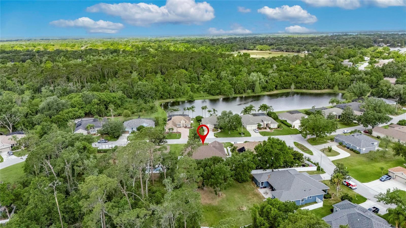 3004 SPRING HAMMOCK DR, PLANT CITY, FL, 33566