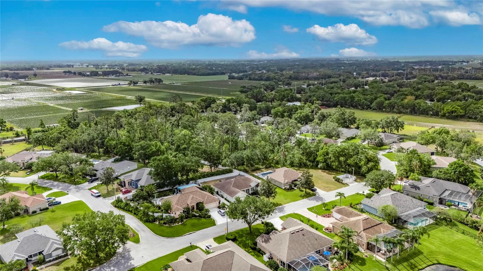 3004 SPRING HAMMOCK DR, PLANT CITY, FL, 33566