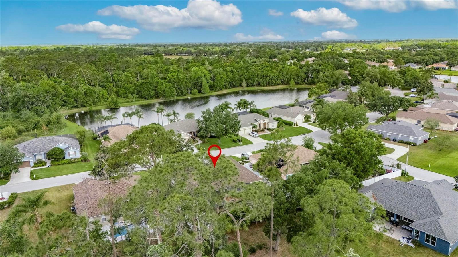 3004 SPRING HAMMOCK DR, PLANT CITY, FL, 33566