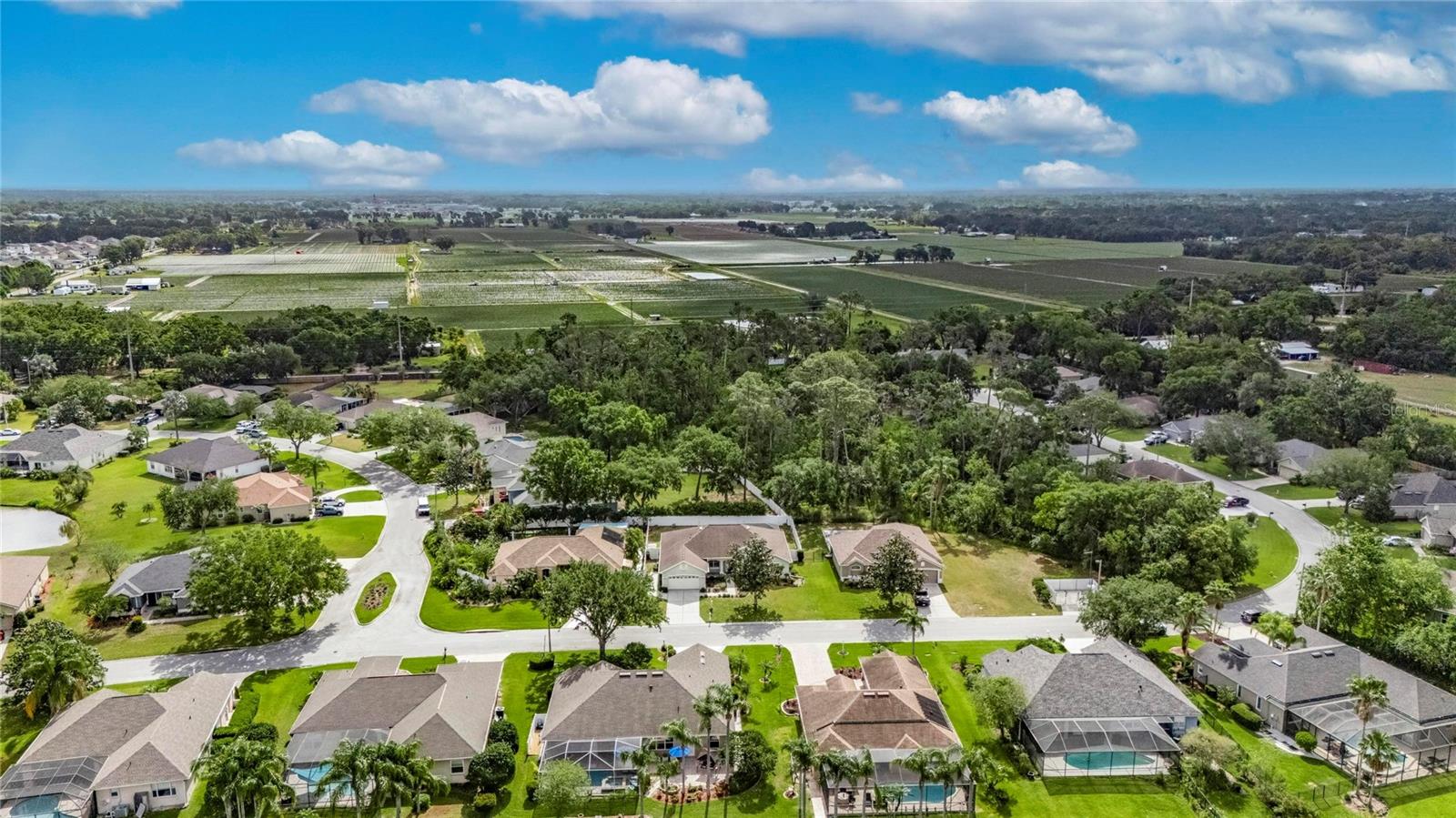 3004 SPRING HAMMOCK DR, PLANT CITY, FL, 33566