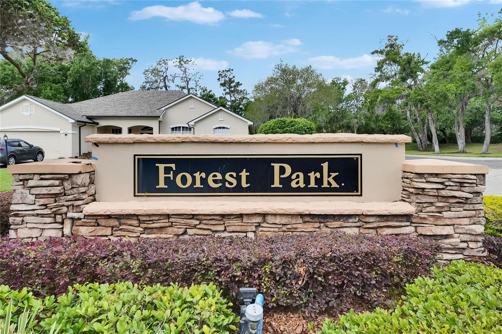 3004 SPRING HAMMOCK DR, PLANT CITY, FL, 33566