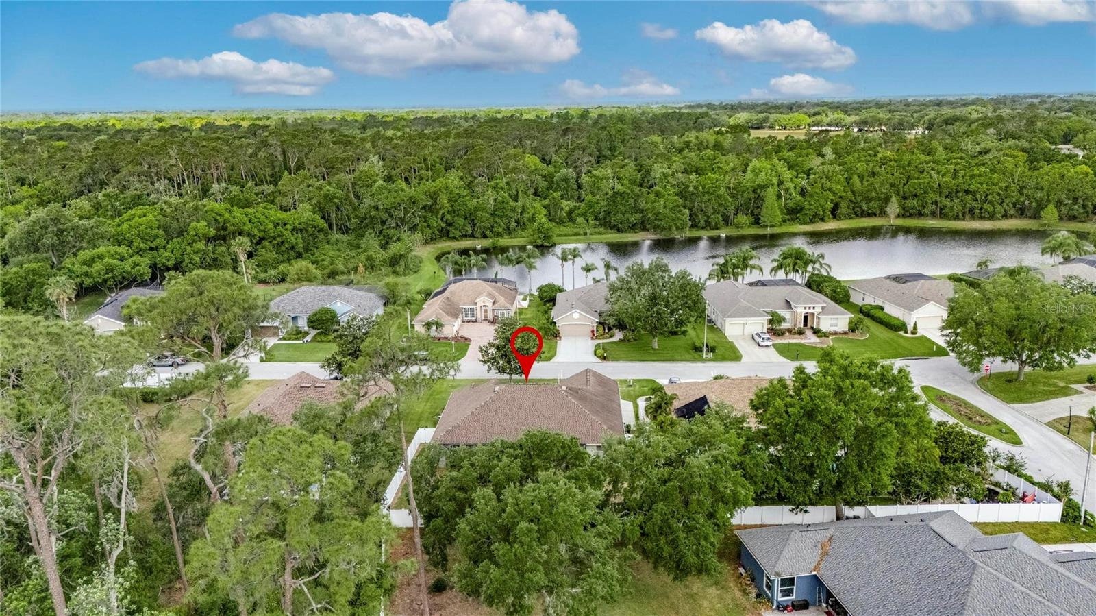 3004 SPRING HAMMOCK DR, PLANT CITY, FL, 33566