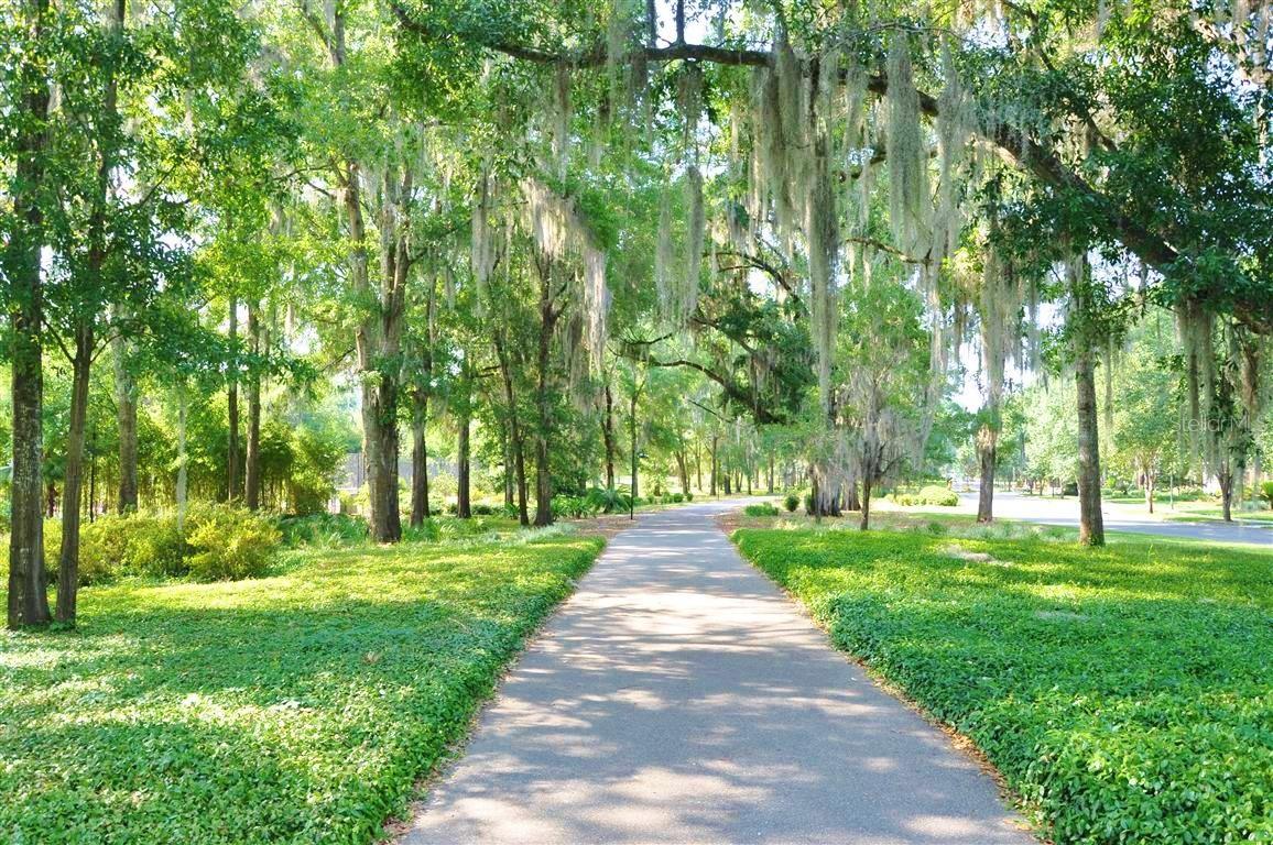 691 SW 136TH ST, NEWBERRY, FL, 32669