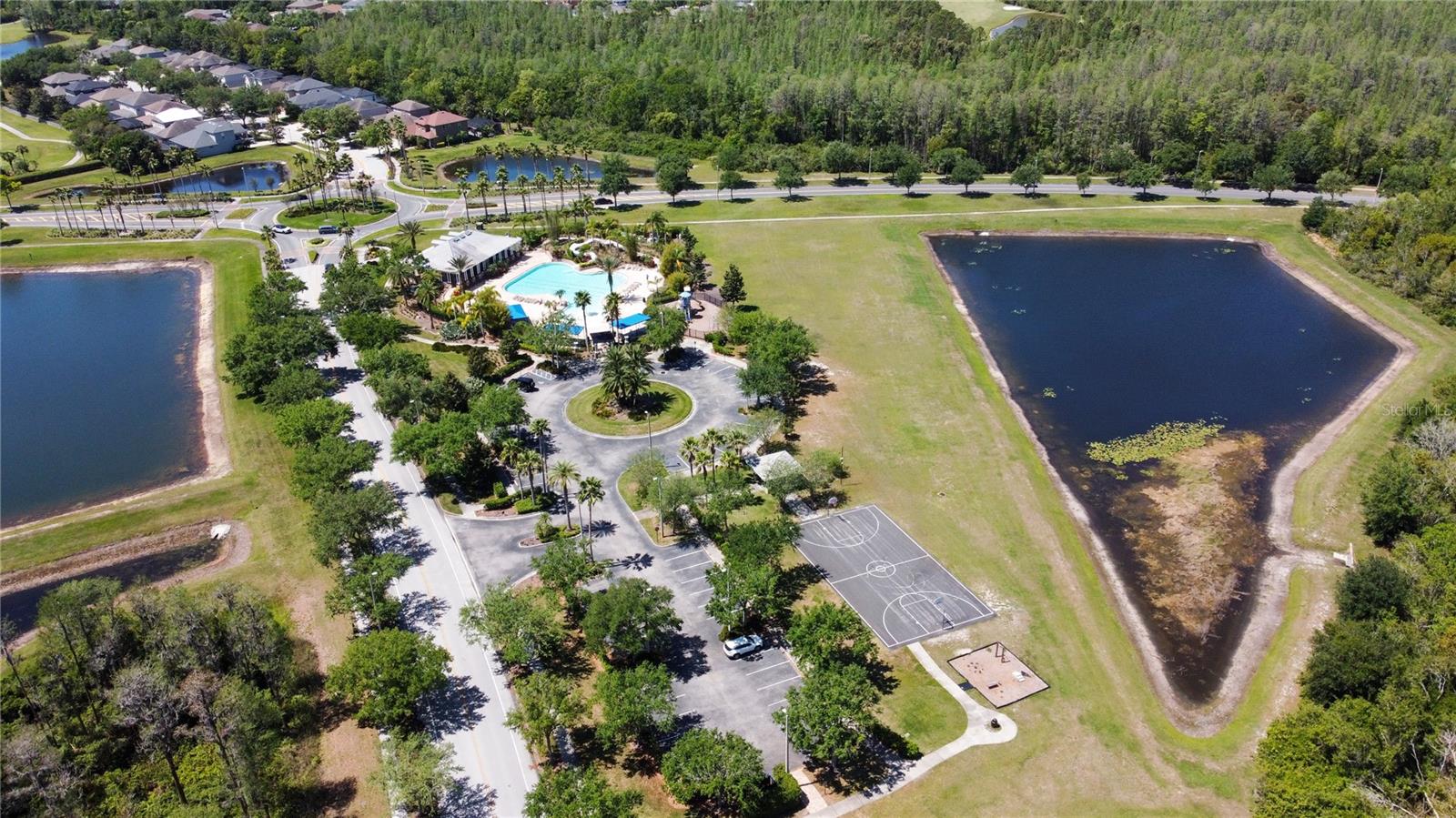 2919 CYPRESS BOWL RD, LUTZ, FL, 33558