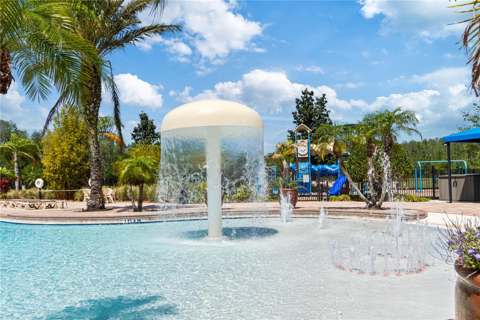 2919 CYPRESS BOWL RD, LUTZ, FL, 33558