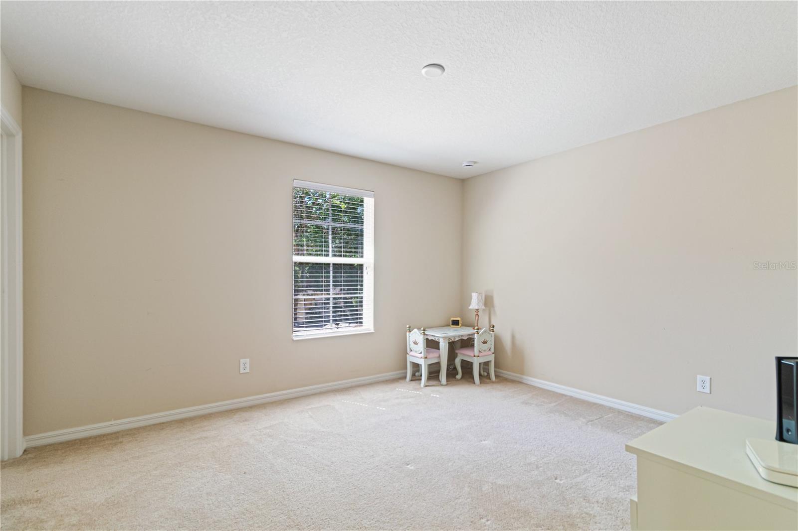 2919 CYPRESS BOWL RD, LUTZ, FL, 33558